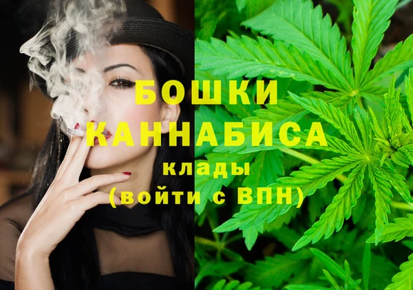 твердый Горняк