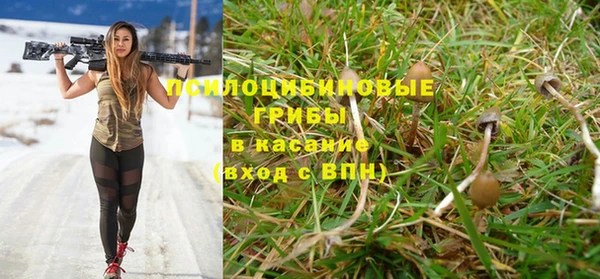 мескалин Горно-Алтайск