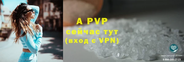 шишки Горнозаводск