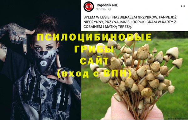 шишки Горнозаводск