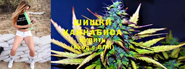 твердый Горняк