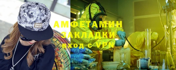 шишки Горнозаводск