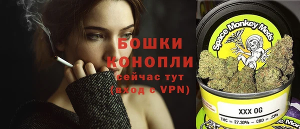 твердый Горняк