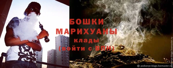 твердый Горняк