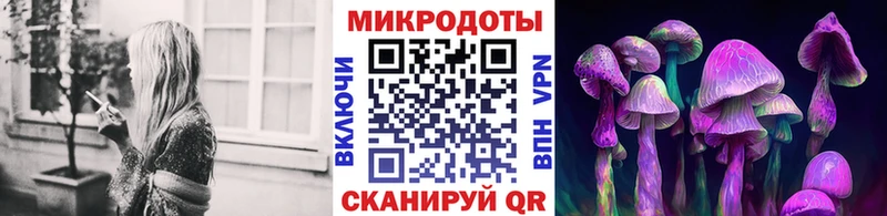 Псилоцибиновые грибы Psilocybine cubensis Сельцо