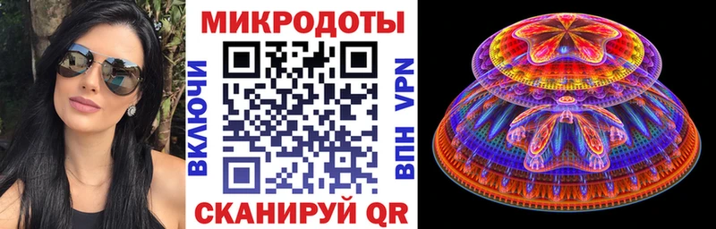 Купить где  Сельцо  Псилоцибиновые грибы Cubensis 